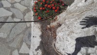https://www.ludivinevangaver.de/files/gimgs/th-14_Photo_IMG_20210616_155337.jpg